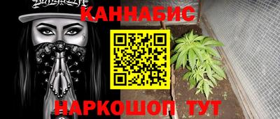 скорость Бердск