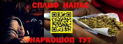 скорость Бердск