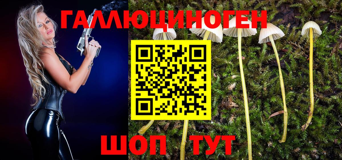 Псилоцибиновые грибы ЛСД Прохладный