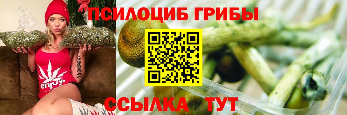 Галлюциногенные грибы MAGIC MUSHROOMS  Вход с VPN  Прохладный 